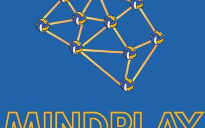 Mindplay project